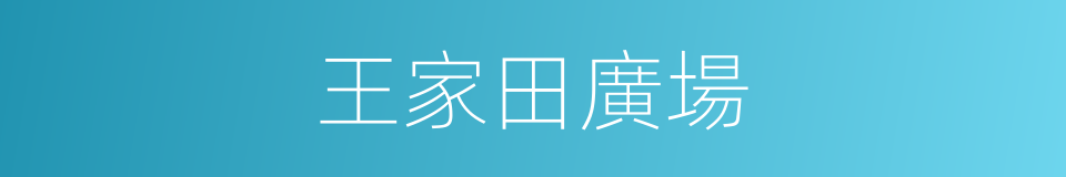 王家田廣場的同義詞