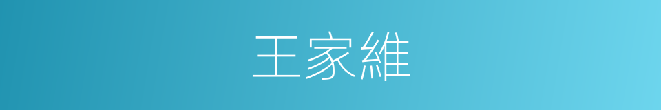 王家維的同義詞