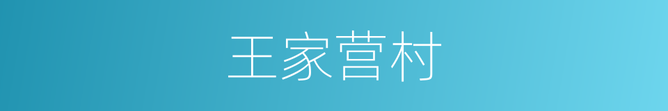 王家营村的同义词