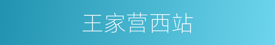 王家营西站的同义词