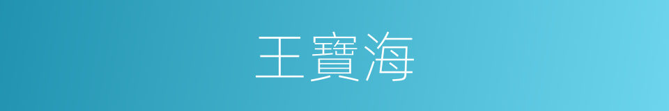 王寶海的同義詞