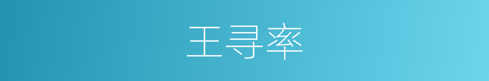 王寻率的同义词