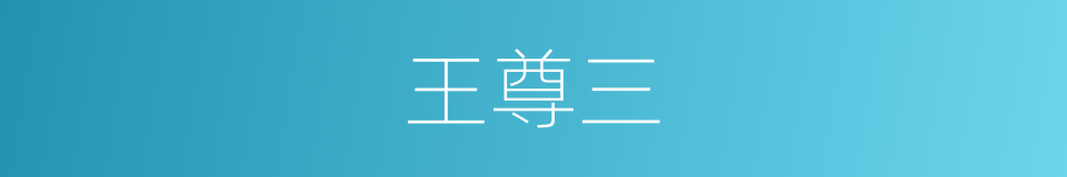王尊三的同义词