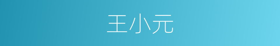 王小元的同义词