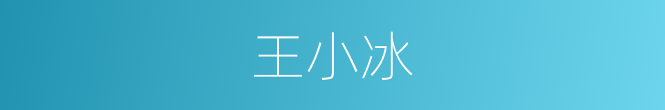王小冰的同义词