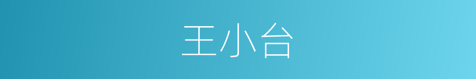 王小台的同义词