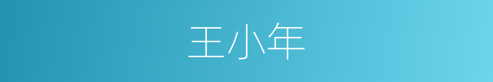 王小年的同义词