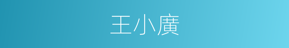 王小廣的同義詞