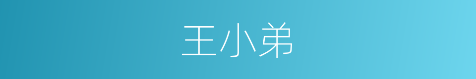 王小弟的同义词
