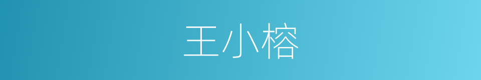 王小榕的同义词