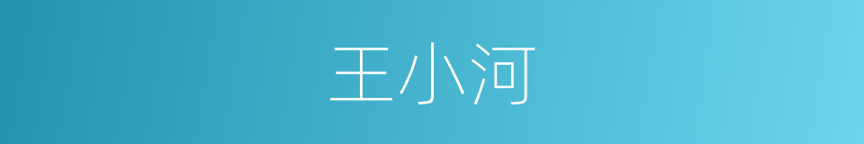 王小河的同义词