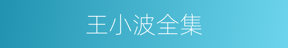 王小波全集的同义词