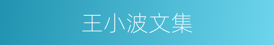 王小波文集的同义词