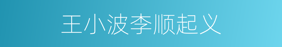 王小波李顺起义的同义词