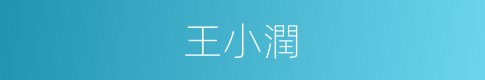 王小潤的同義詞