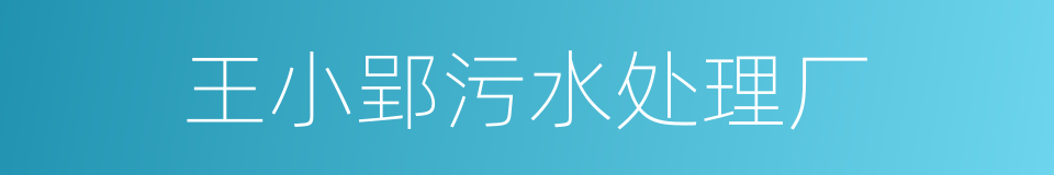 王小郢污水处理厂的同义词