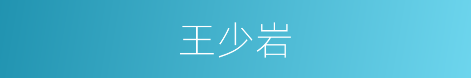 王少岩的同义词