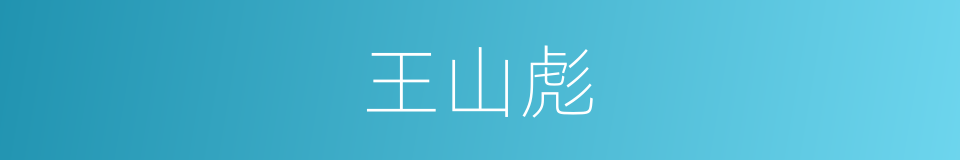 王山彪的同义词