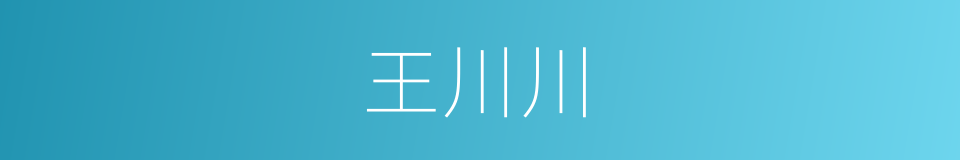 王川川的同义词