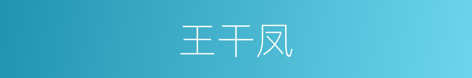 王干凤的同义词