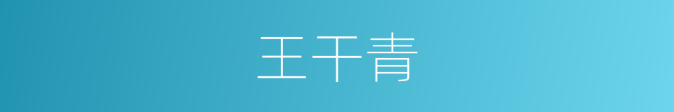 王干青的同义词