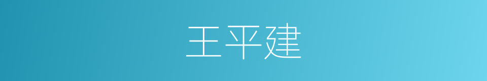 王平建的同义词