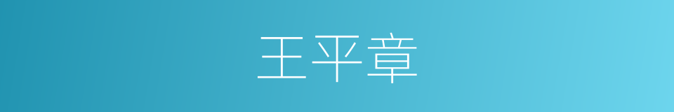 王平章的同义词