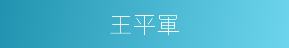 王平軍的同義詞