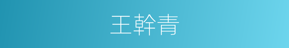 王幹青的同義詞