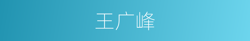 王广峰的同义词