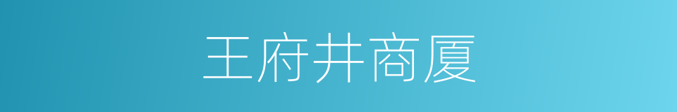 王府井商厦的同义词