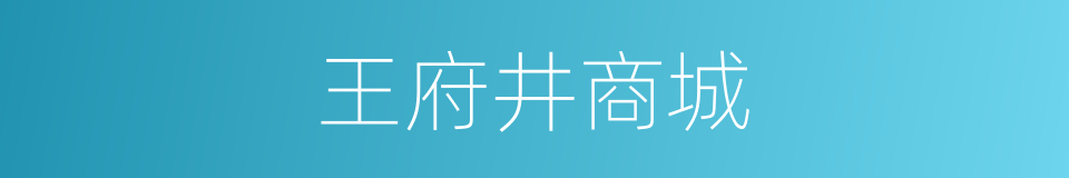 王府井商城的同义词