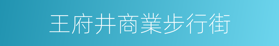 王府井商業步行街的同義詞