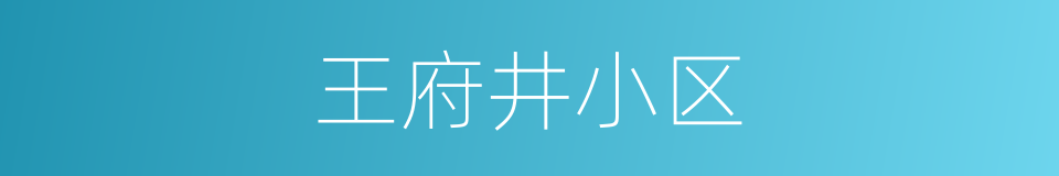 王府井小区的同义词