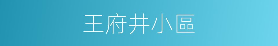 王府井小區的同義詞