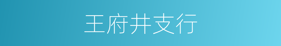 王府井支行的同义词