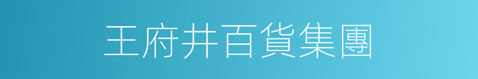 王府井百貨集團的同義詞