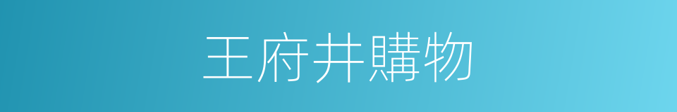 王府井購物的同義詞