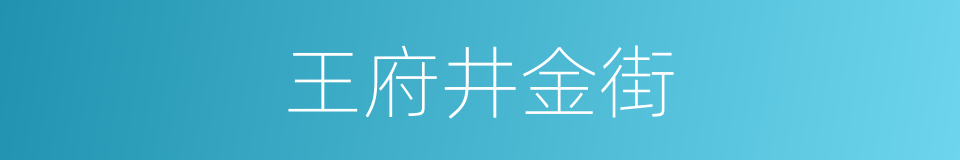 王府井金街的同义词