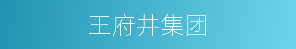 王府井集团的同义词