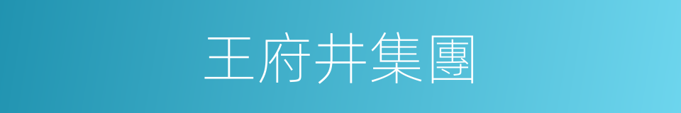 王府井集團的同義詞