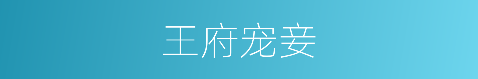 王府宠妾的同义词
