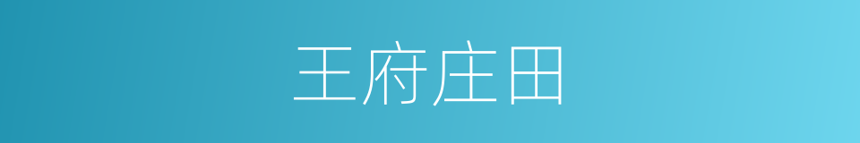 王府庄田的同义词