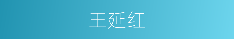 王延红的同义词