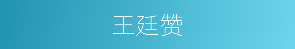 王廷赞的同义词