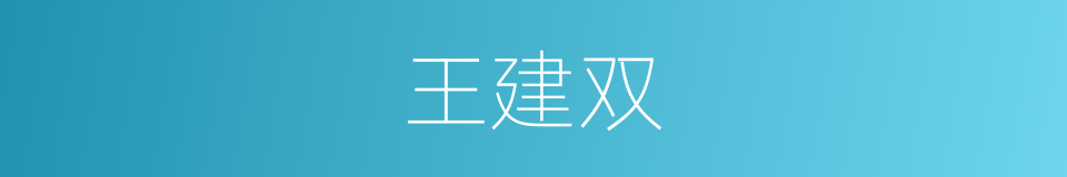 王建双的同义词