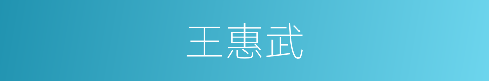 王惠武的同义词