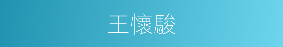 王懷駿的同義詞