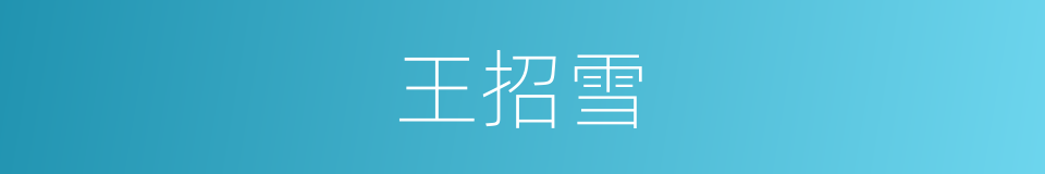 王招雪的同义词