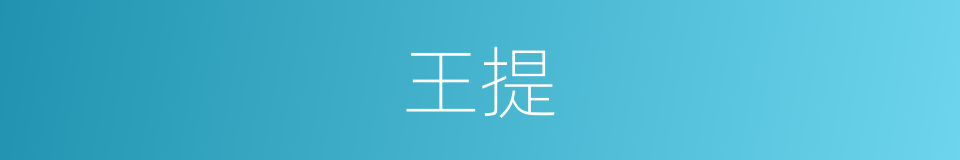 王提的同义词